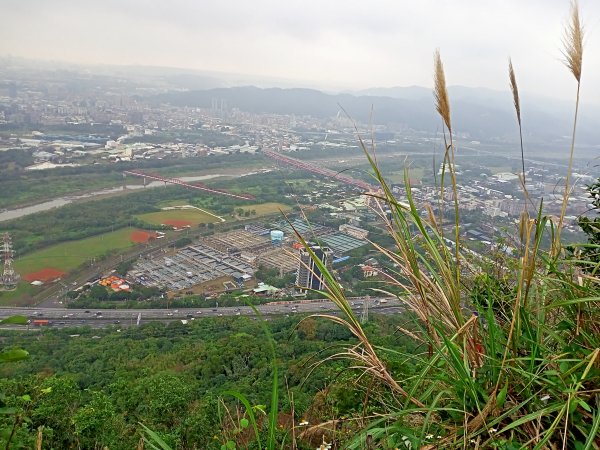 【南山神壽任務尋寶趣】鳶山彩壁、福德坑山步道【小百岳集起來】#19 鳶山登山步道1580903