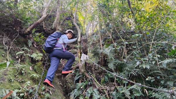 雙石大O繞縱走1150222 年初六3004543