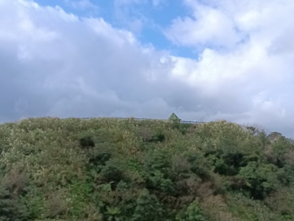 雙溪區不厭亭+草山公路+牡丹山+不厭亭+金字碑古道(探幽亭)+三貂崙+不厭亭8字走2941898