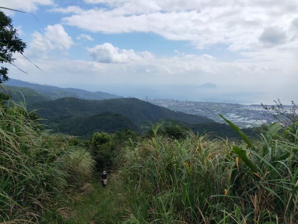 小百岳(84)-鵲子山-20201001~【2020全家總動員~28分之23】1720525