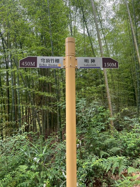 嵐山再古坑。五元兩角 木馬古道2806185