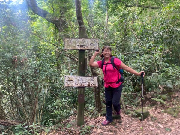 苗栗縣獅潭鄉鳴凰古道O型縱走2803681