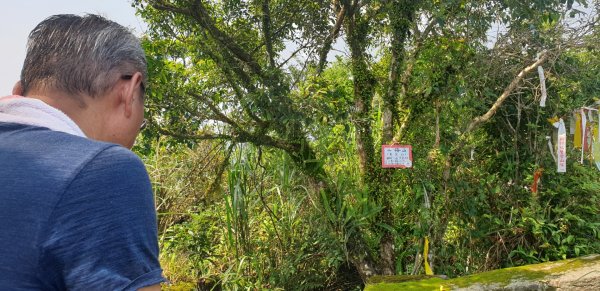 草楠二格山第二登山口O型886261