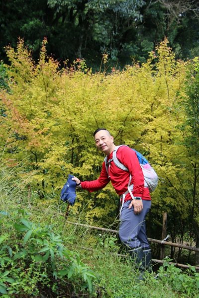 合歡山下華岡763475