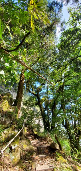 神啊!感謝給我們好天氣、包場的_神阿縱走追加對高岳山2333489