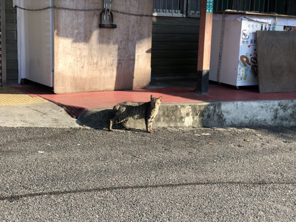 【淡蘭中路】全線連走(經泰平) | 是旅行也是修行1035254