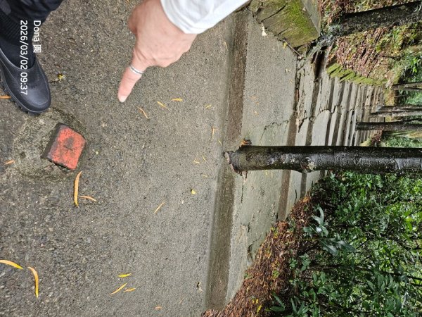 20260302忠義山.小坪頂山.貴子坑山大O走3009795