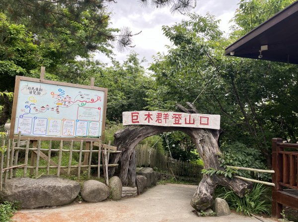 2025_0524 司馬庫斯神木群步道2797185