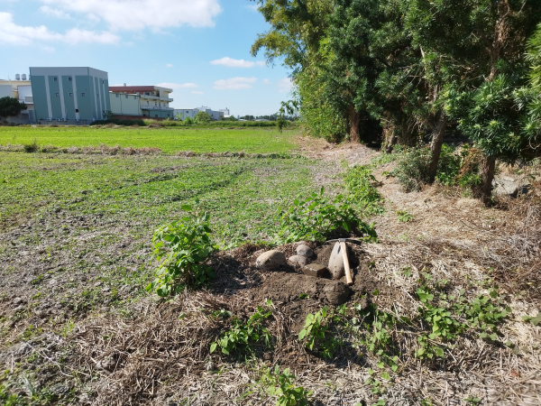 [彰化秀水][一]山寮、後湳莊(馬興)、馬鳴山、菁埔