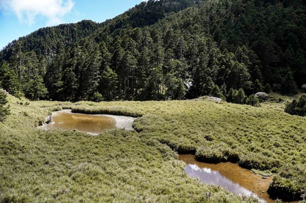 帝王之座-南湖東峰線｜南湖東峰＋陶塞峰＋馬比杉山2884915