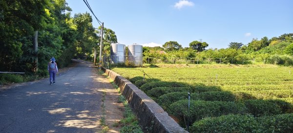 2025/10/05_四角坪道2905297