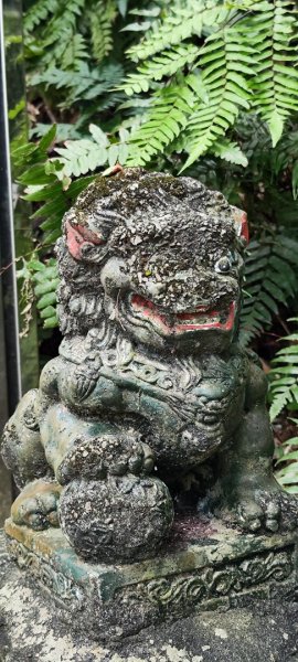 基隆．獅球嶺步道202601172994165