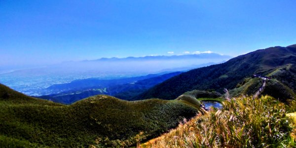 走聖母與三角崙山步道 再探神級抹茶山698595