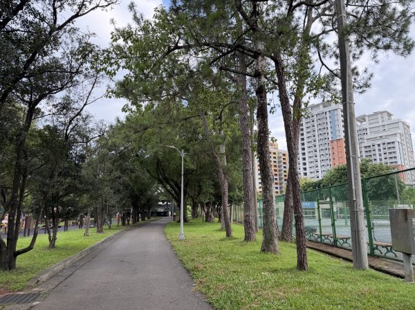 [2026臺北健走趣-06/50] 2026_0712_青年公園3098542