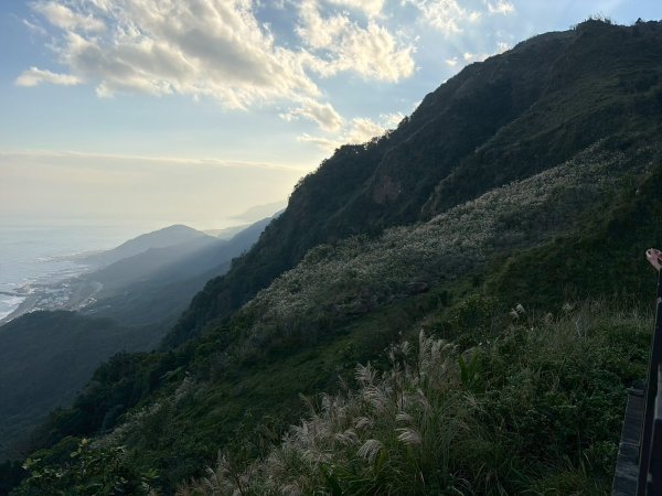 新北 貢寮 草嶺古道2955664