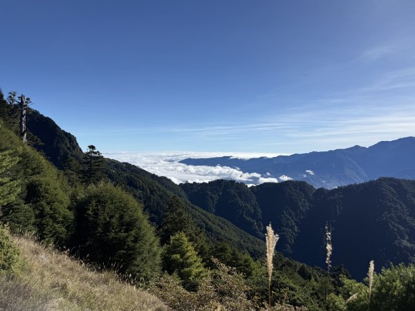 1141108-09桃山單攻2936013