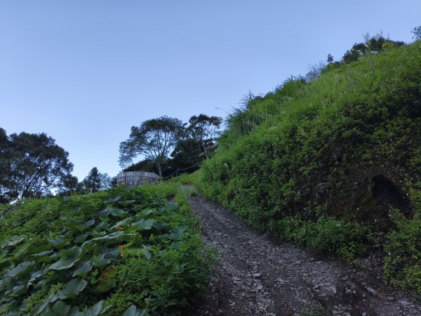 [玉山尋寶任務-07/12] 2025_0824 八通關雲龍瀑布步道2870454