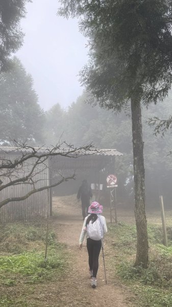 20260101小百岳馬那邦山賞楓團2973944