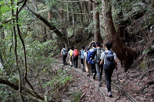 加里山。杜鵑嶺910961