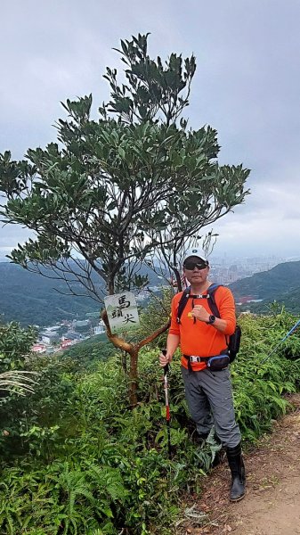 龜山五連星+大棟山O型2785162