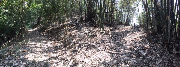 20220305高雄兔和山1633579