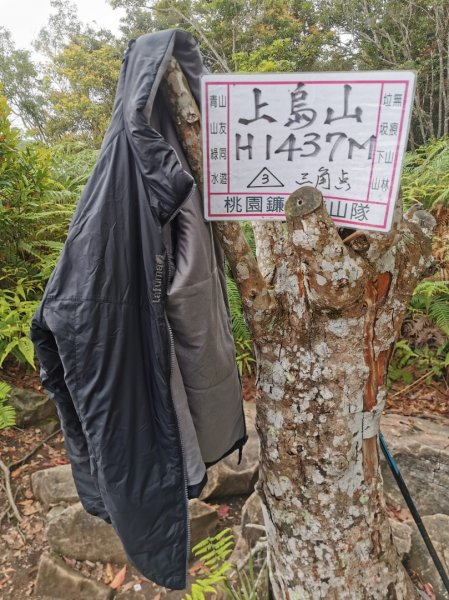 步道巡訪員 l 鳥嘴山步道 4 月巡訪日誌904025