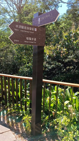 知本國家森林遊樂區步道1775680