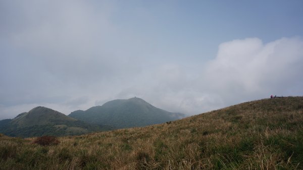 陽明山西段縱走 O形1916346