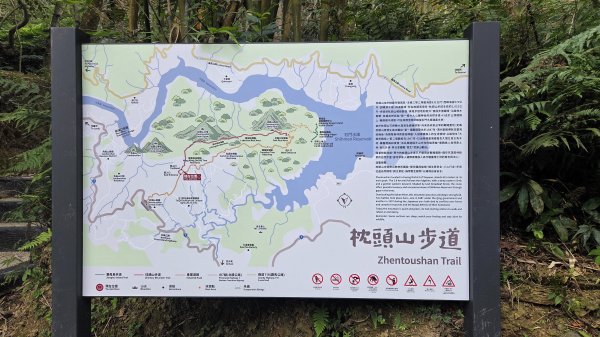 桃園復興枕頭山及薑母島偶遇穿山甲的悠閒O型走2984222