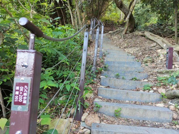 九九峰森林步道2270147