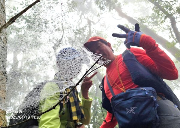 小百岳馬那邦山(H1407m)加碼採草莓2694682