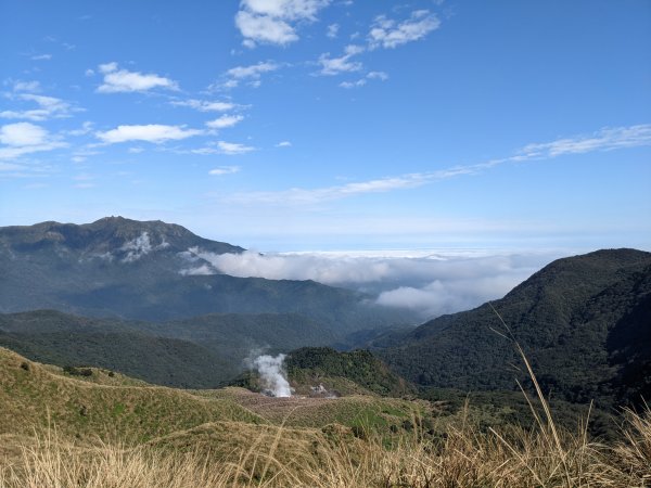 擎天崗 石梯嶺2006263