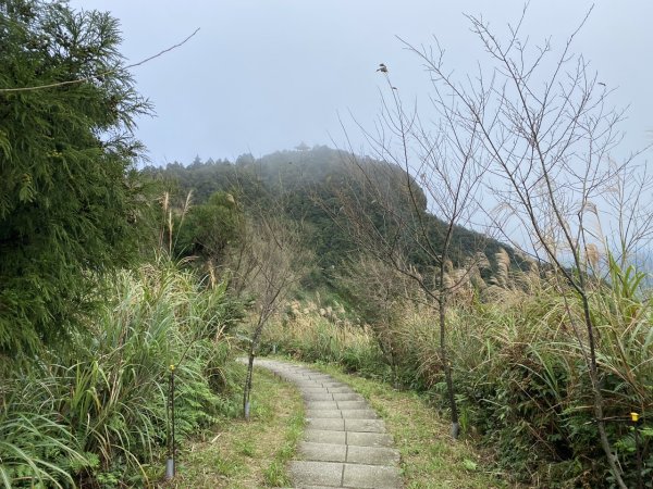 2023/12/14 碇內尖山 龍門山 五分山 淡蘭古道中路2399818