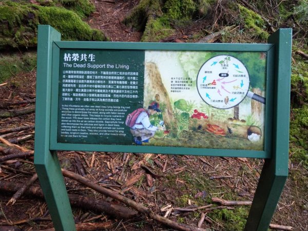 高雄/台東-南橫三星-塔關山3053675