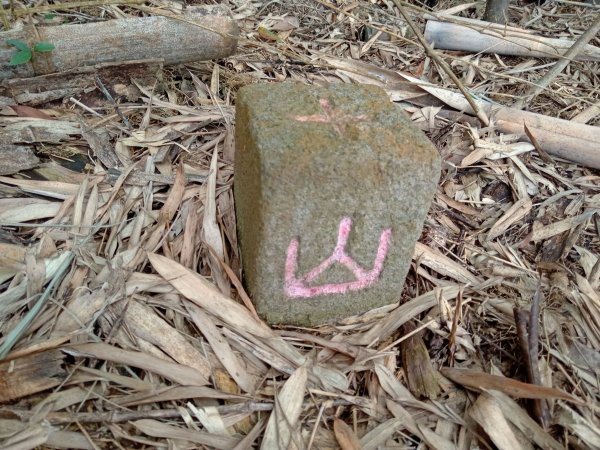 20220226台中和平尾文坑山、三叉坑山、穿龍山、大湖桶山基石1619043