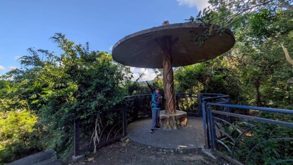 114.08.16和美山之微笑山線2864972