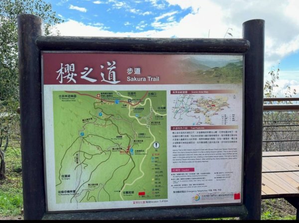 20251029石棹茶、霧、雲、霞、櫻、愛之道 樂野山 霹靂山2926610