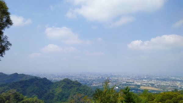 新田登山步道-聚興山965529