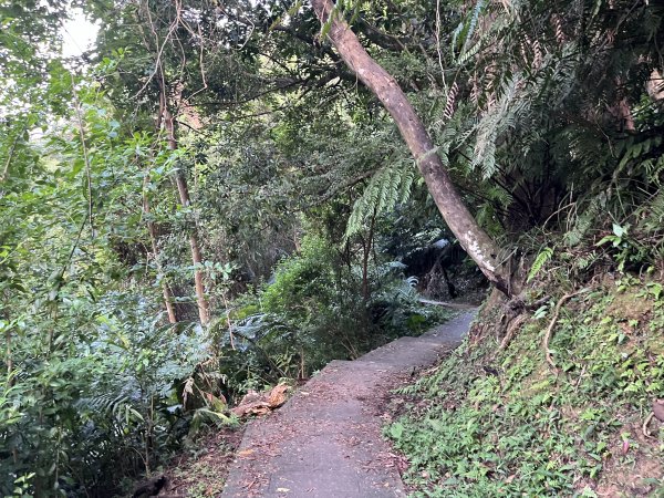 [微笑山線_第六段] 2025_0807 二格山系_和美山螢火蟲段2854619