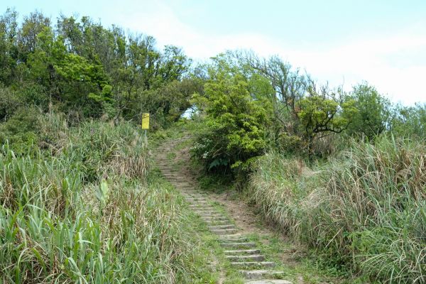 陽明山東段：風櫃嘴—頂山—石梯嶺—擎天崗309462