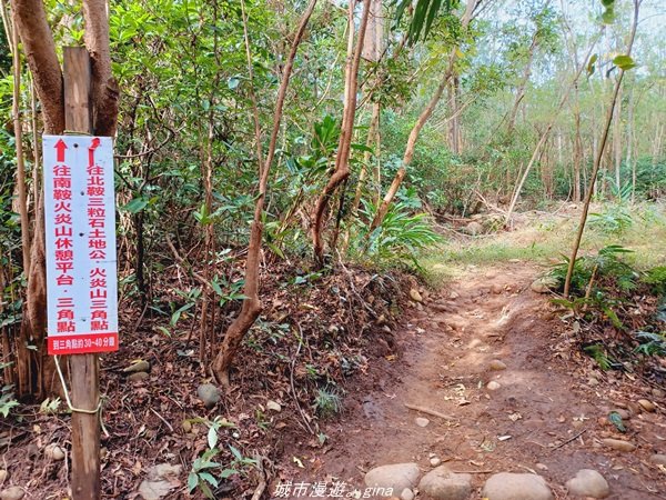 【苗栗。 三義】台灣百大必訪步道。 編號38小百岳-火炎山步道1572302