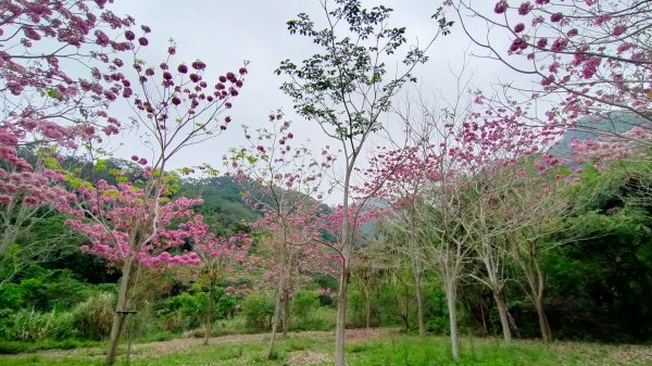 塘湖古道VS甕缸潭步道2130244