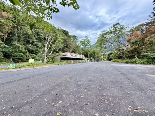 雪山坑步道悠遊順訪雪山坑山(再訪)  2025.12.32953722