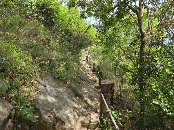 龍麟山步道2748685