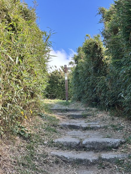 面天山、向天山、向天池2921050