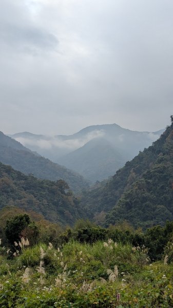 橫龍山、橫龍古道2682943