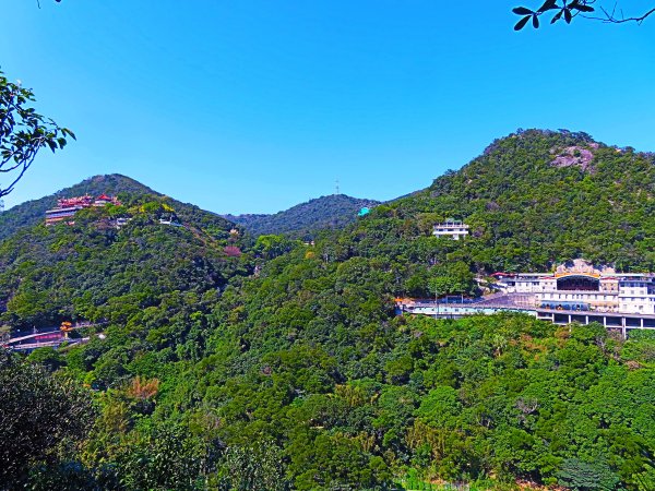 龍年首登的好選擇，鯉躍龍門，搭捷運來內湖爬三尖，鯉魚山、忠勇山、圓覺尖2426580