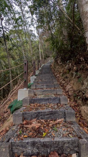 後尖山步道3008297