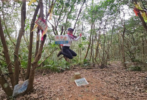 20260127三通嶺山.三義山(大桁茂山).慈濟山.大坪山大O走2989997