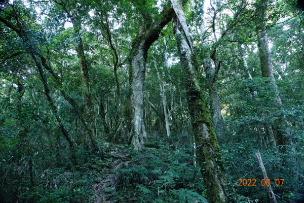 宜蘭 大同 佐得寒山1798072